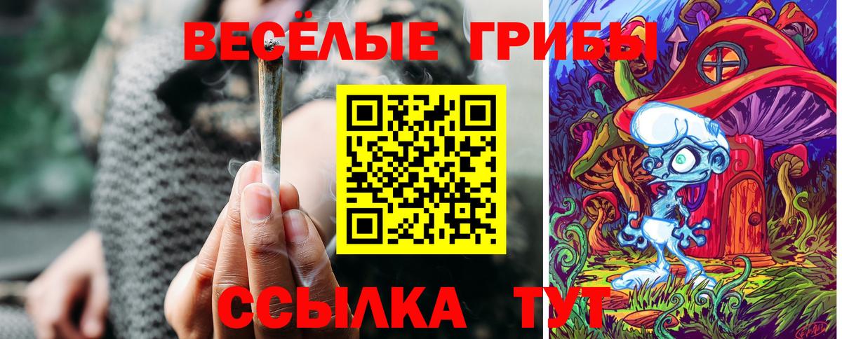 Псилоцибиновые грибы Cubensis  Вход с VPN  Кирово-Чепецк  Псилоцибиновые грибы Psilocybe 
