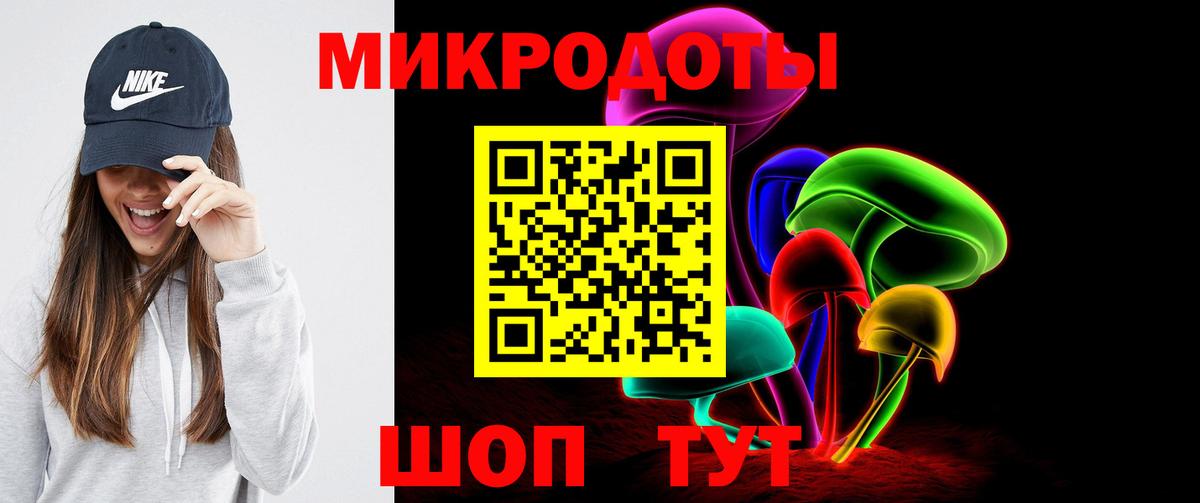 Псилоцибиновые грибы Psilocybe Кирово-Чепецк